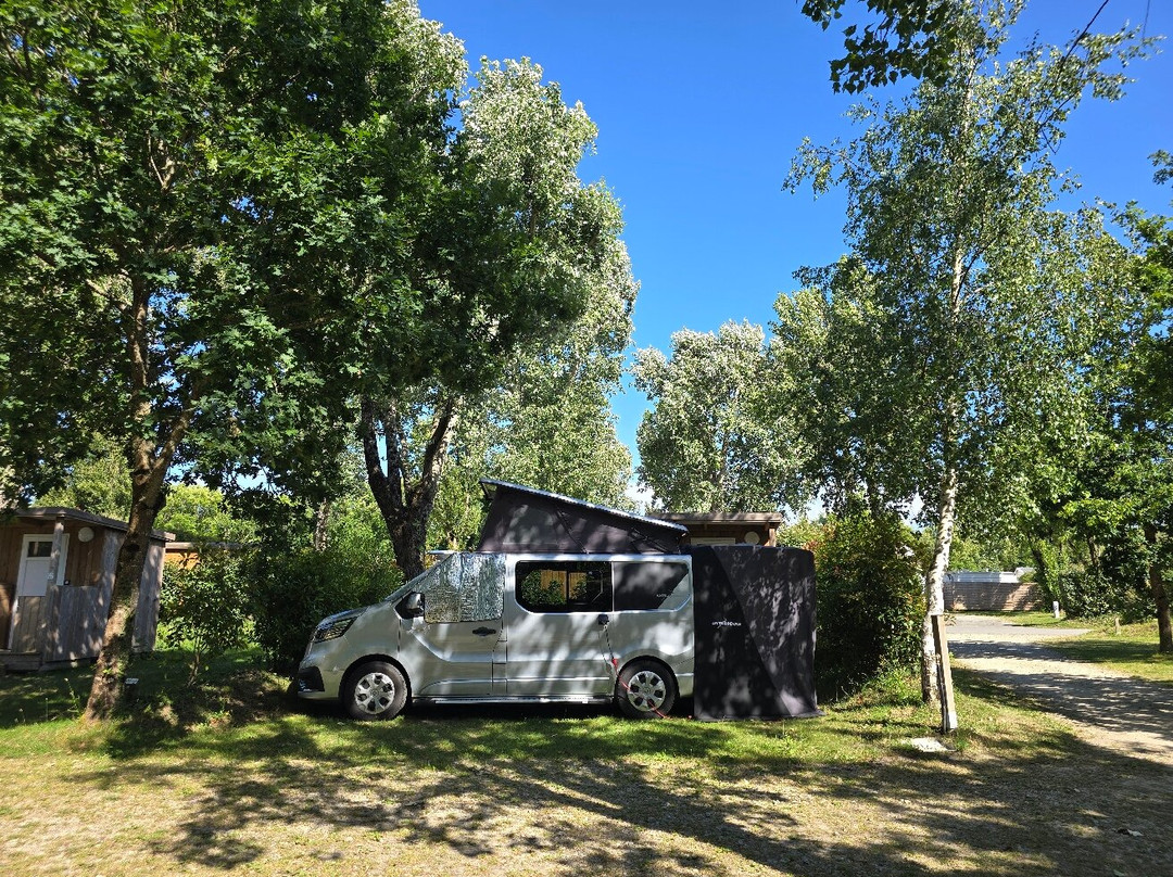 Camping Loscolo