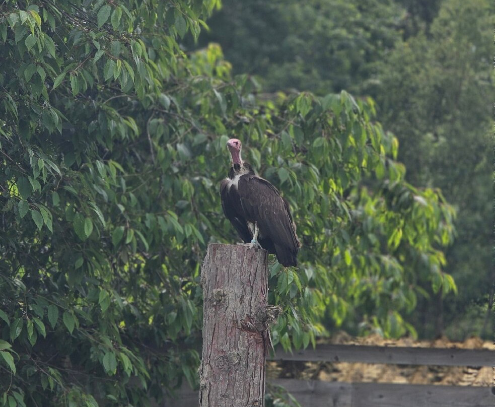 The Lake District Wildlife Park-Bassenthwaite必去景点