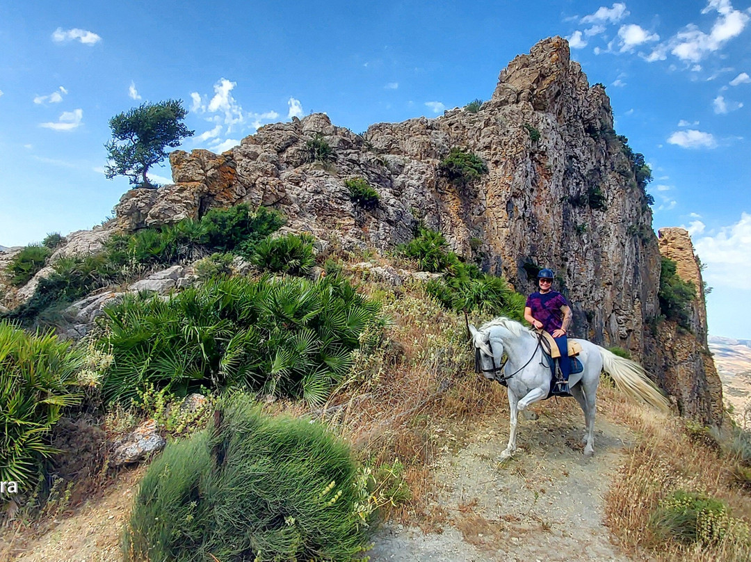 Horse Riding El Chorro-El Chorro必去景点