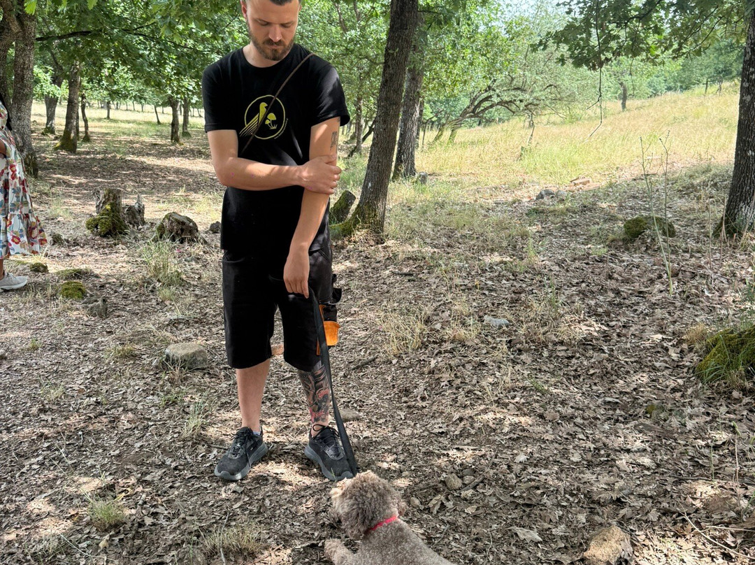 Truffle Hunting-卡兰巴卡必去景点