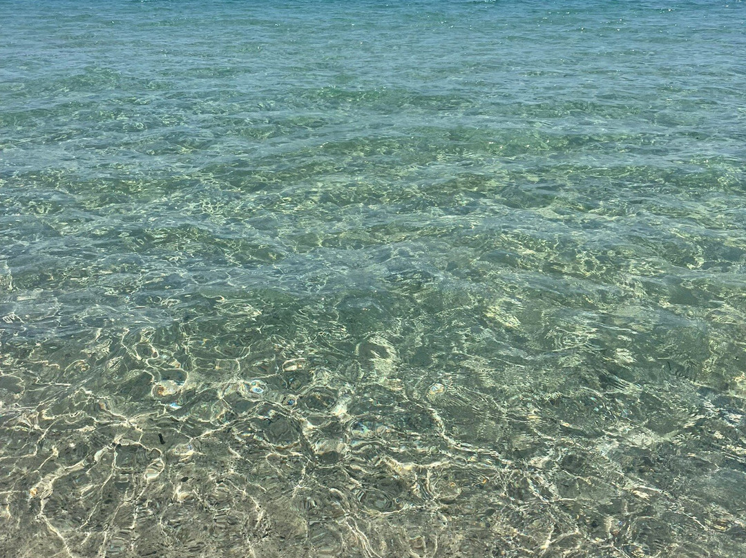 Marina Rey Beach Resort主图