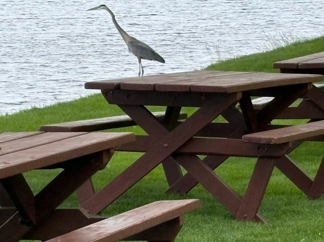 Breezy Picnic Grounds-Douglas必去景点