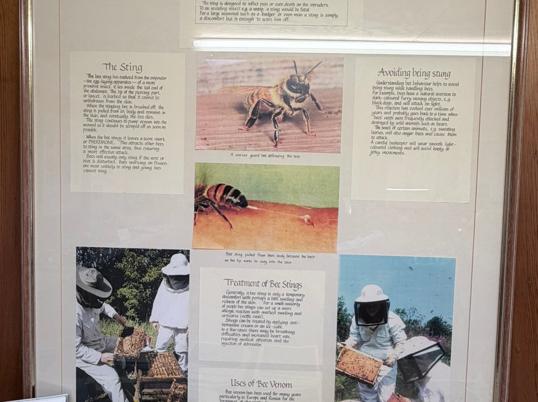 Chain Bridge Honey Farm-特威德河畔贝里克必去景点
