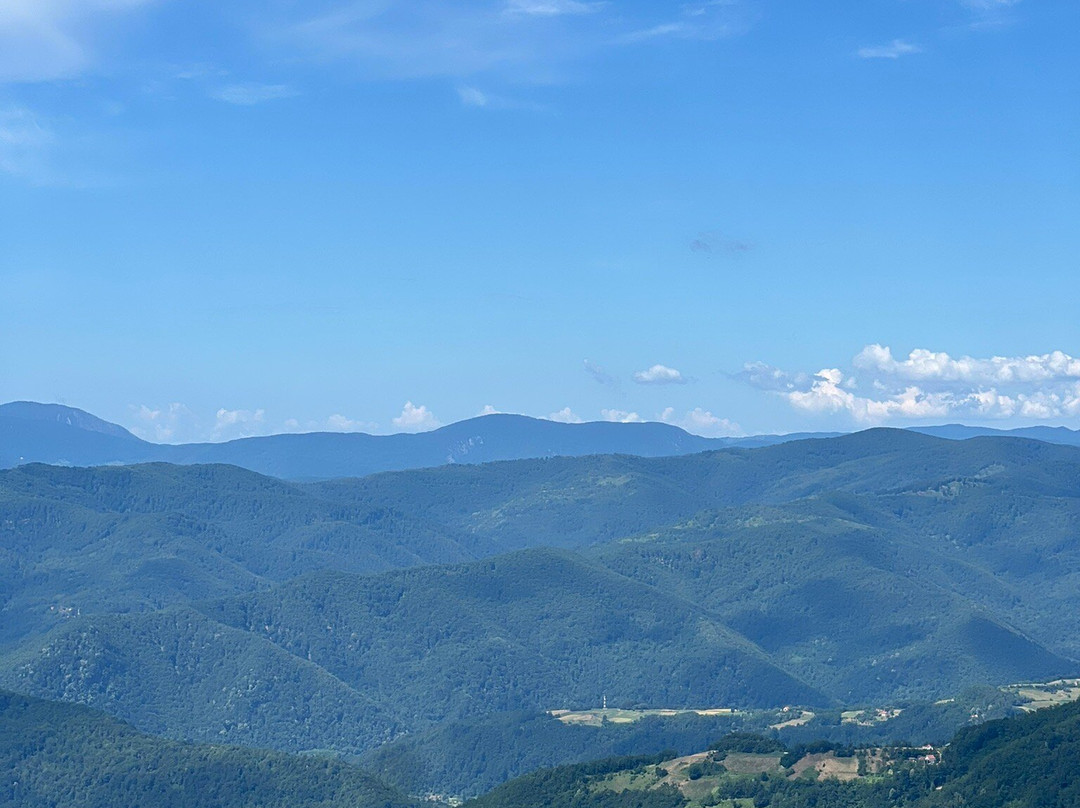 Serbia Inspired Tours-贝尔格莱德必去景点