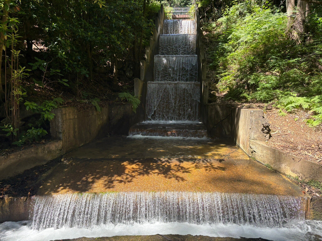 PR16 Levada Fajã do Rodrigues-Sao Vicente必去景点
