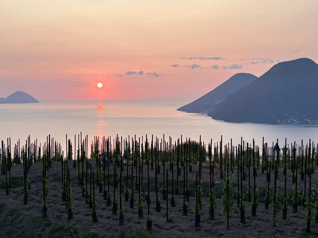 Tenuta Di Castellaro Winery-利帕里必去景点