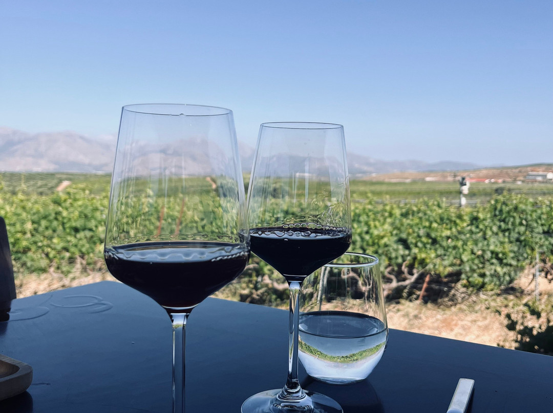 Lyrarakis Winery-伊拉克利翁必去景点