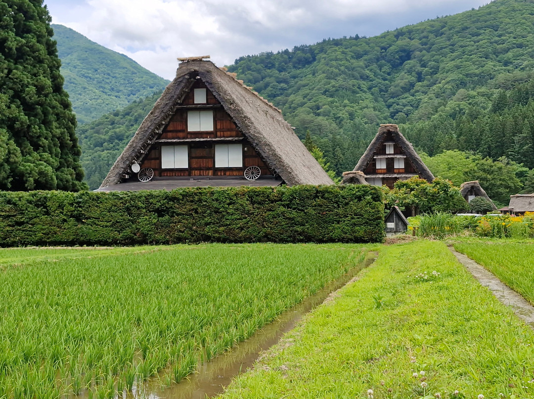 Shirakawago-白川村必去景点