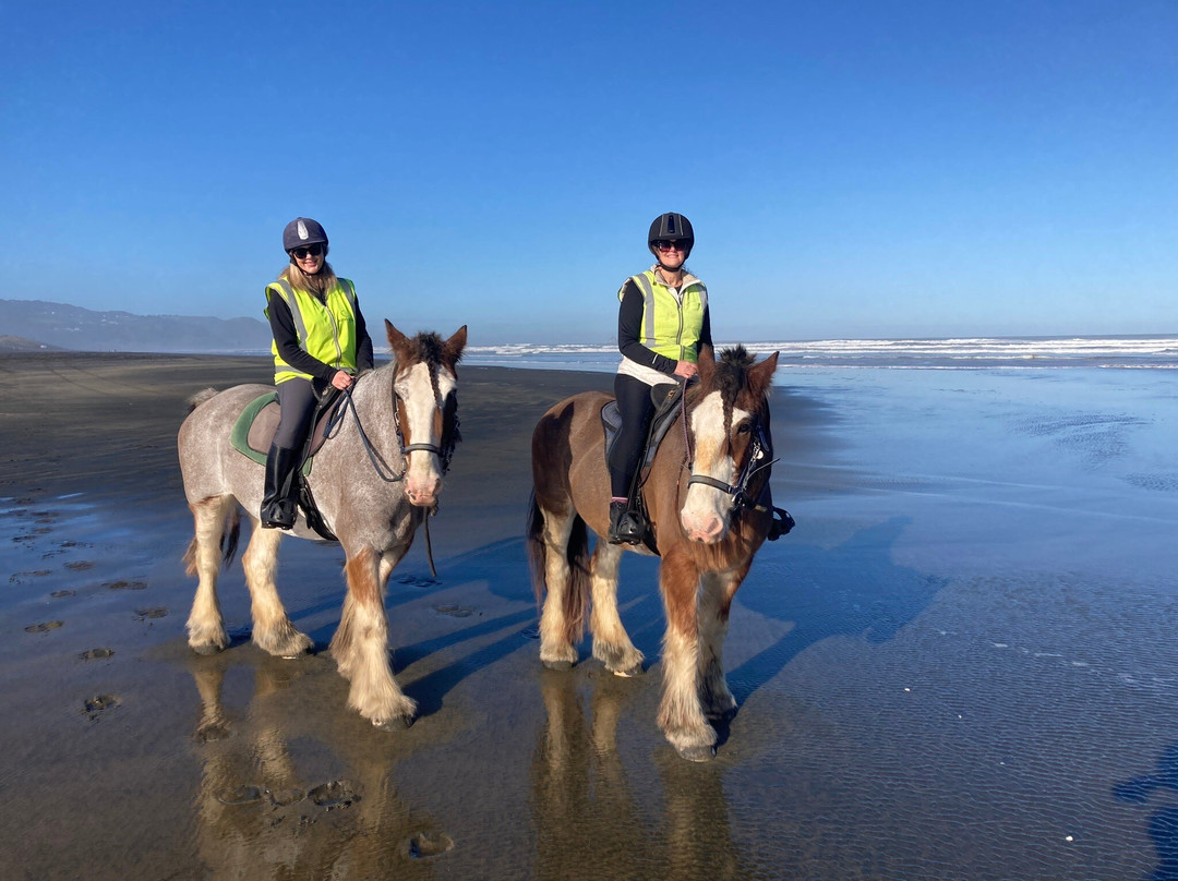 Muriwai Beach Horse Treks-穆里怀海滩必去景点