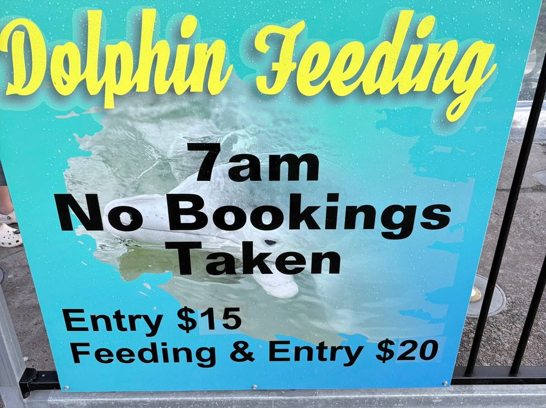 Barnacles Dolphin Centre-Tin Can Bay必去景点