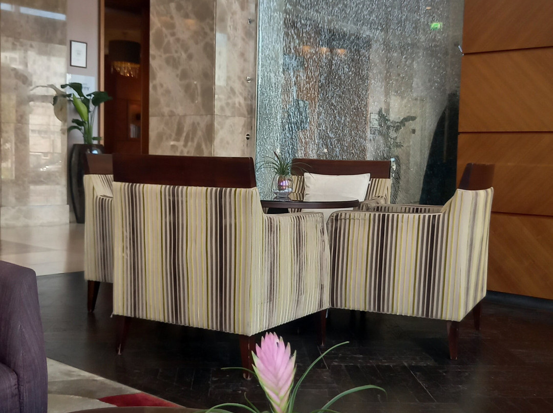 布拉迪斯拉发喜来登酒店主图