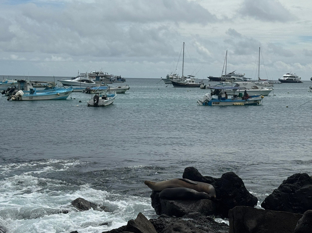 Malecón San Cristobal-圣克里斯托瓦尔必去景点