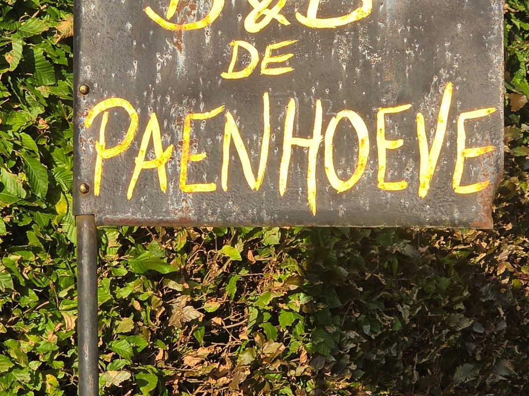 B&B De Paenhoeve主图