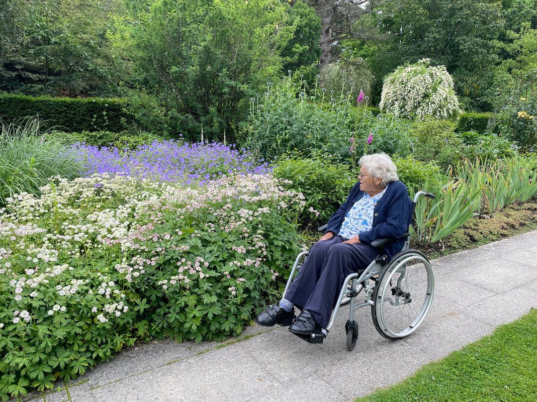 Sir Harold Hillier Gardens-罗姆西必去景点