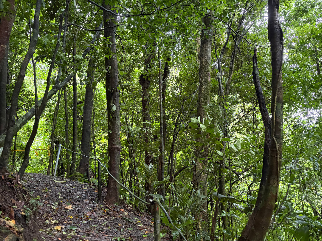 Sky Adventures - Arenal Park-阿雷纳火山国家公园必去景点