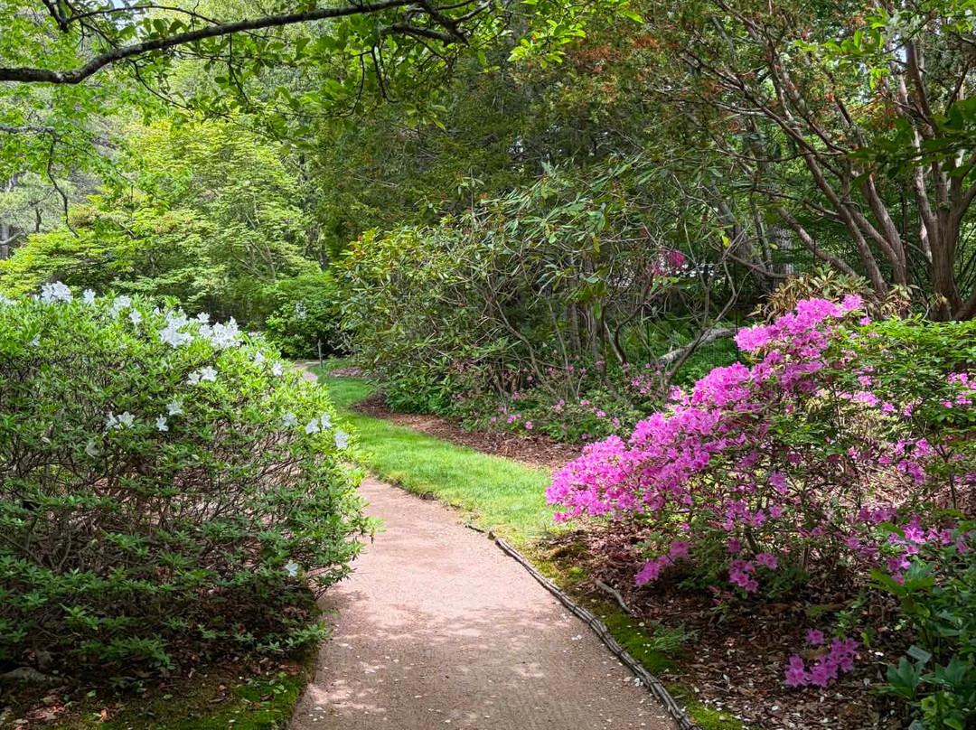 Asticou Azalea Garden-Northeast Harbor必去景点