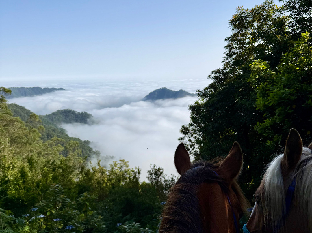 Equine Village by Quinta do Riacho-Santo da Serra必去景点
