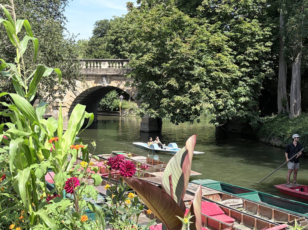 University of Oxford Botanic Garden-牛津必去景点