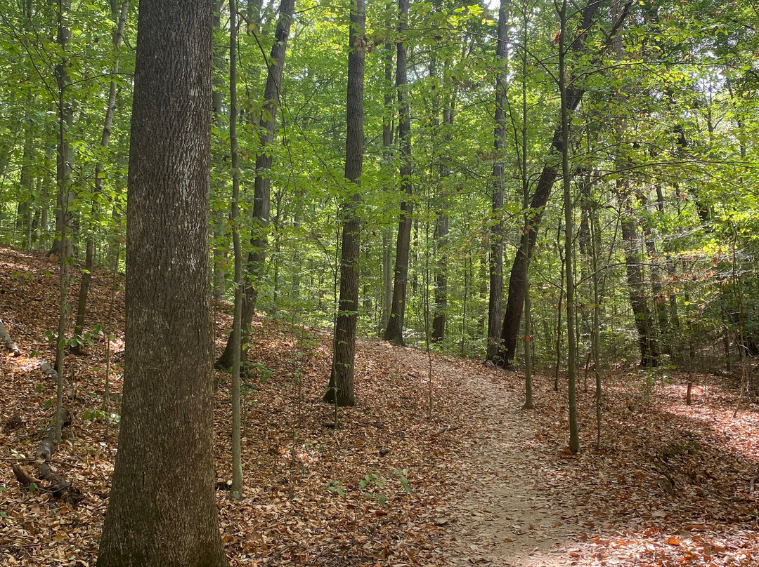Rockbridge State Nature Preserve-Rockbridge必去景点