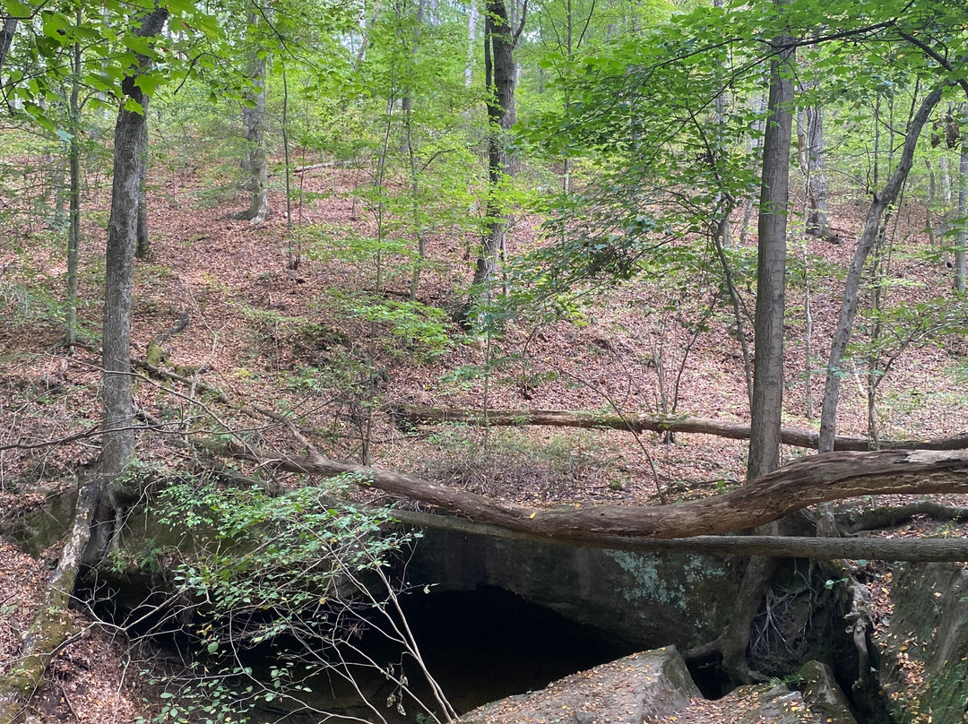 Rockbridge State Nature Preserve-Rockbridge必去景点