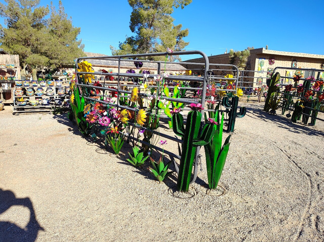 Cactus Joe's Blue Diamond Nursery-拉斯维加斯必去景点