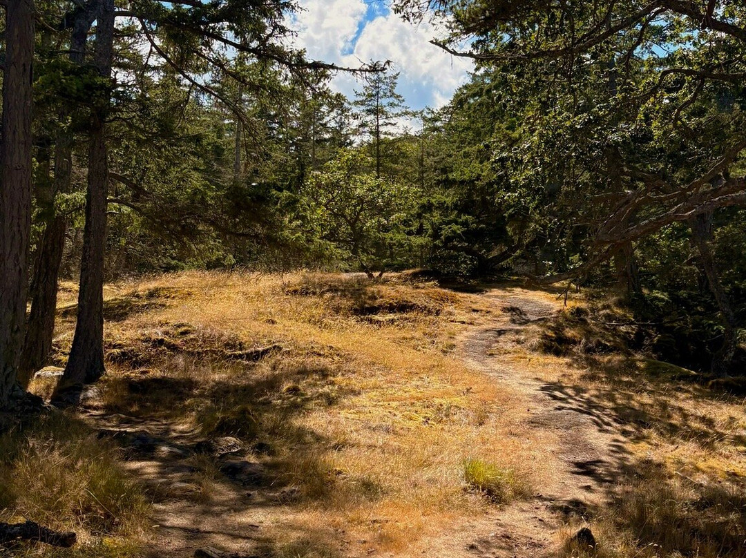 Ruckle Provincial Park-盐泉岛必去景点