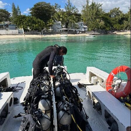 Dodo Divers Mauritius-卡罗迪勒必去景点