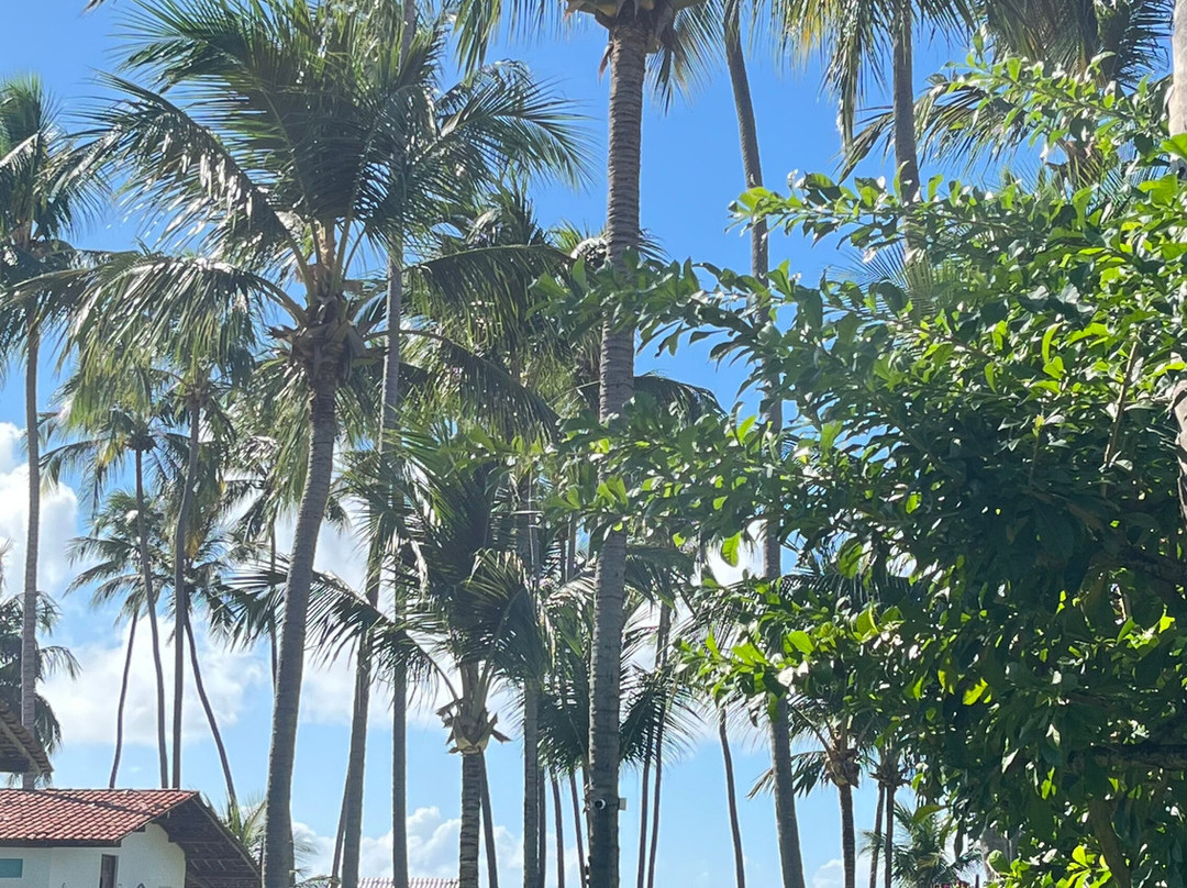 Pousada Vila do Patacho主图