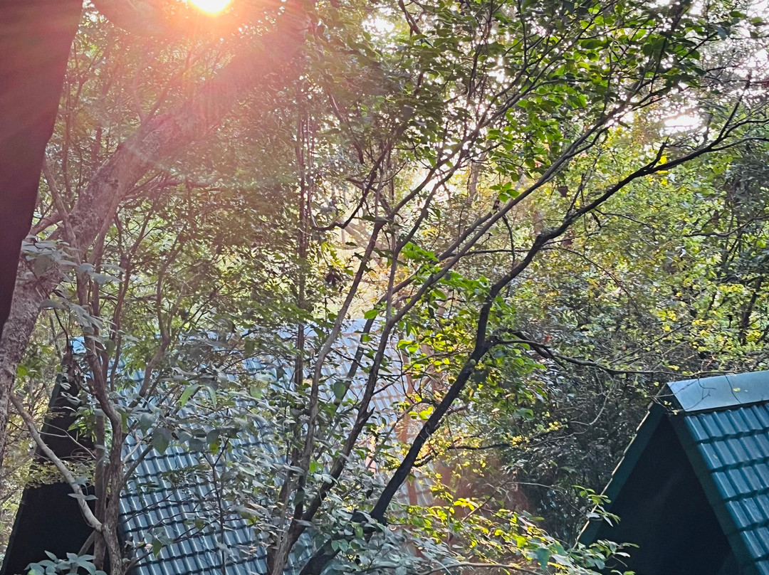 Osho Aranya Retreat Center-Naula必去景点