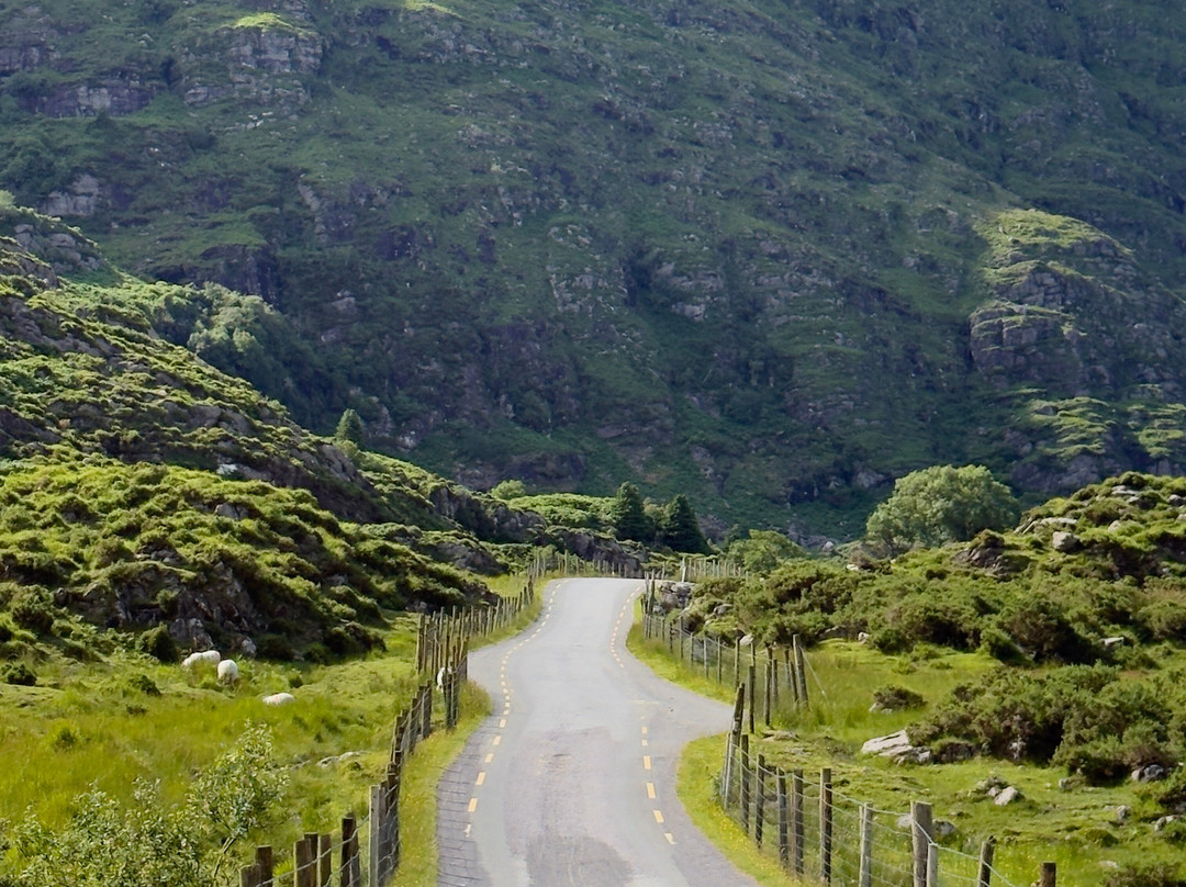 Luxury Irish Tours-戈尔韦必去景点