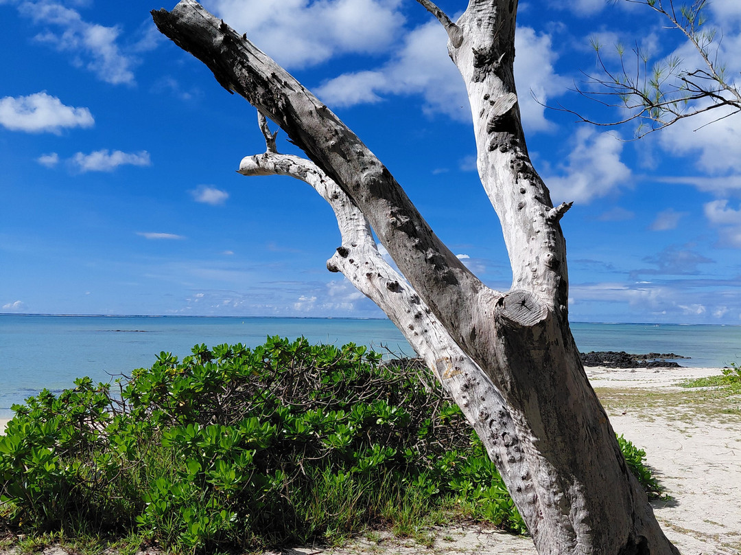 Paradisio Excursions Ile Maurice-大湾必去景点