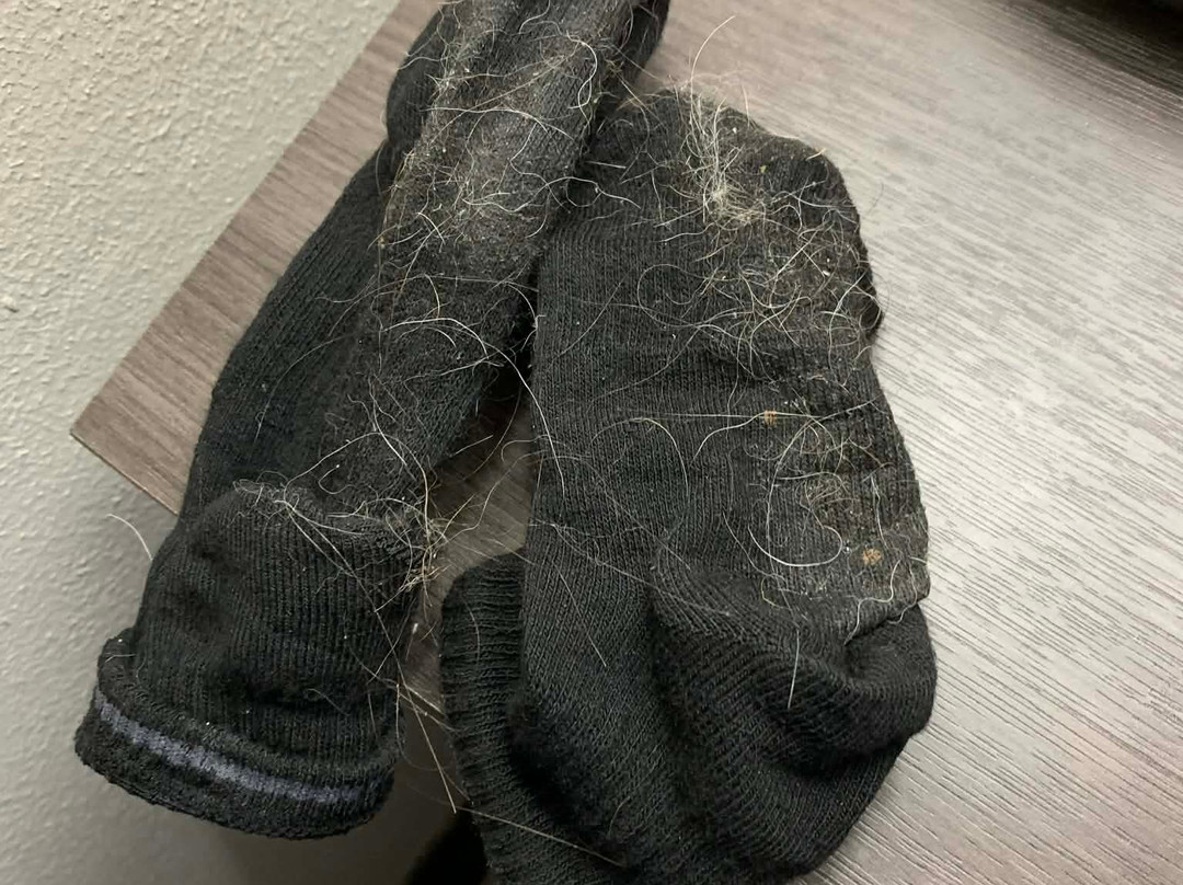 圣路易斯南费斯特斯拉昆塔温德姆套房酒店主图