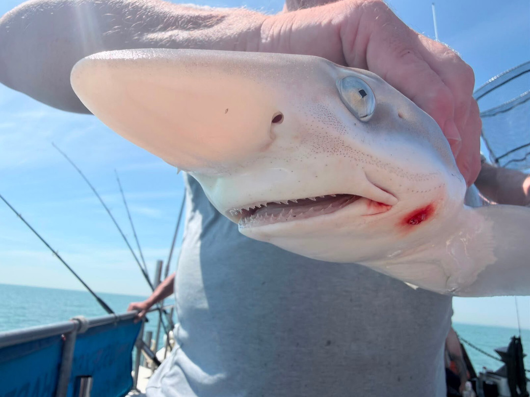 Sussex Sea Charters-West Itchenor必去景点