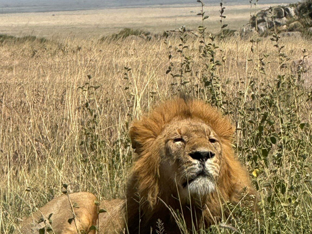 Tanzania Roadside Expeditions-阿鲁沙必去景点