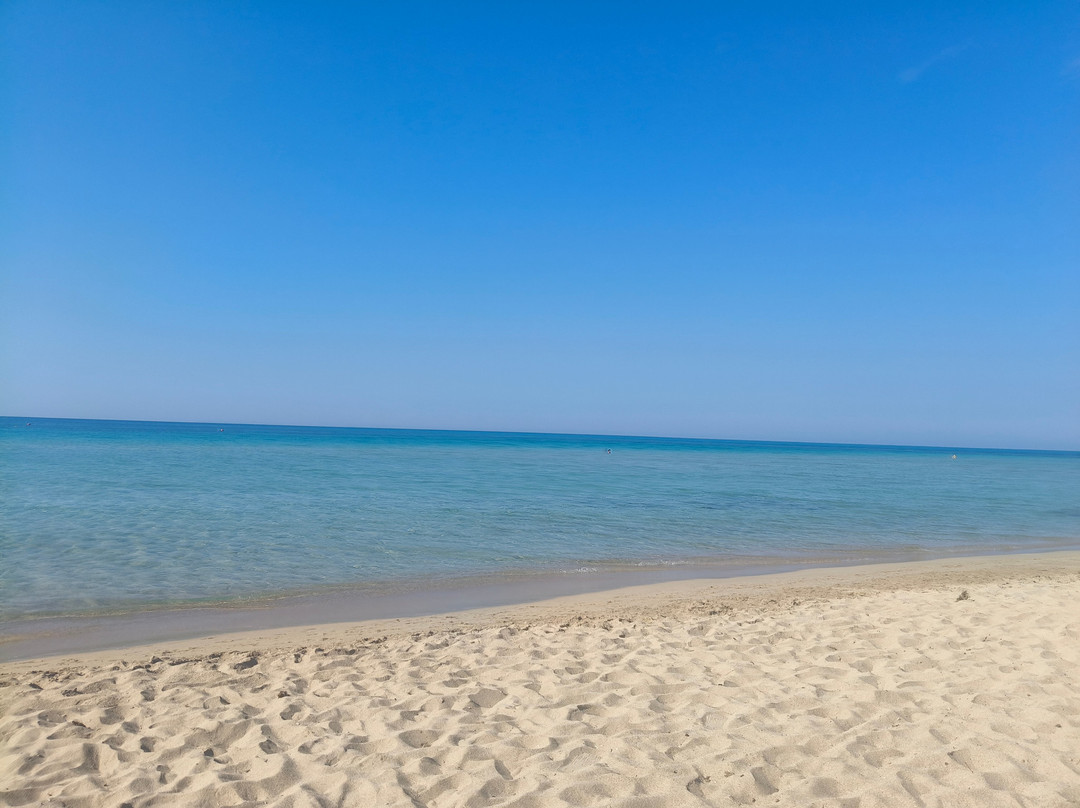 Costa del Salento - Cdshotels主图