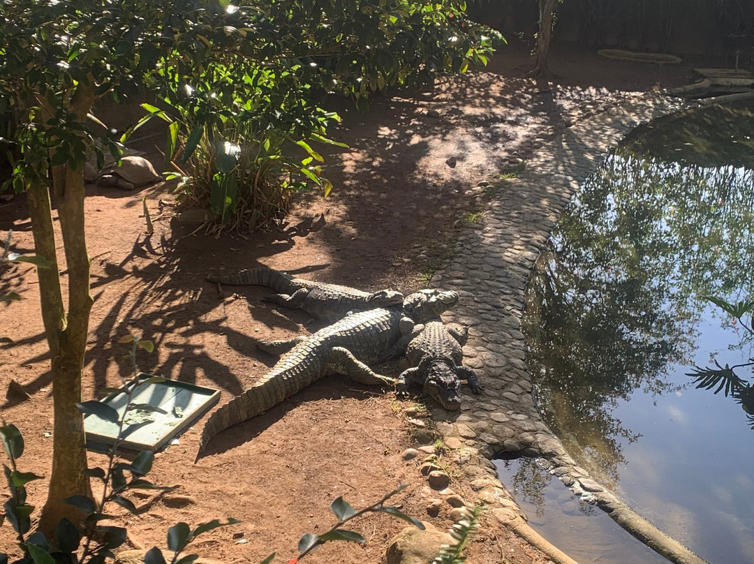 Zoologico De Sao Paulo-圣保罗必去景点