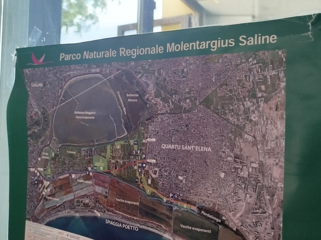 Parco Naturale Molentargius-Saline-卡利亚里省必去景点