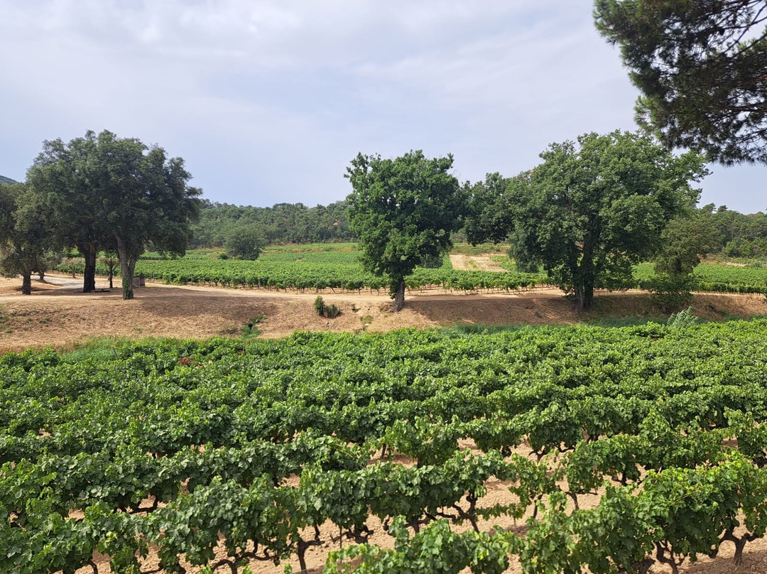 Domaine La Rouillère-Gassin必去景点