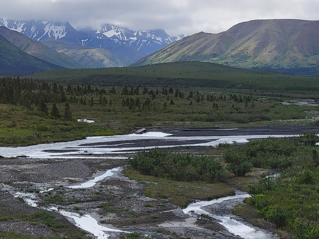 Denali Natural History Tour-德纳利国家公园和自然保护区必去景点