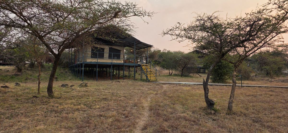 Ikoma Wild Camp-旅行者