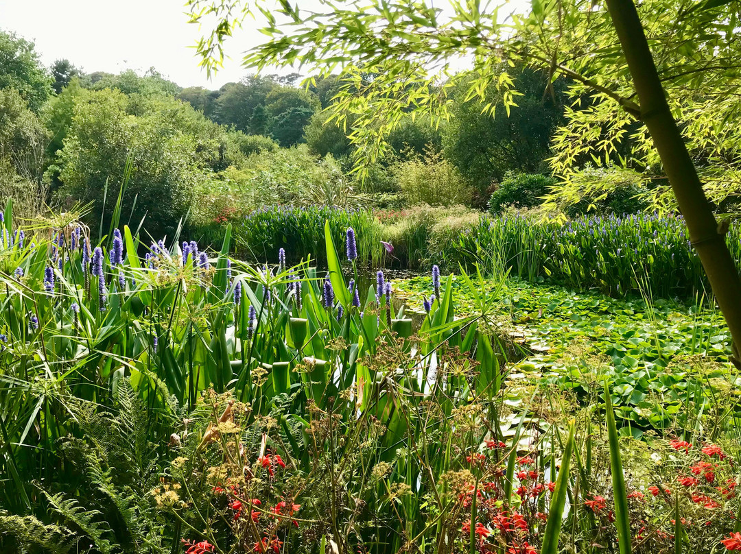 Tanglewood Wild Garden-彭赞斯必去景点