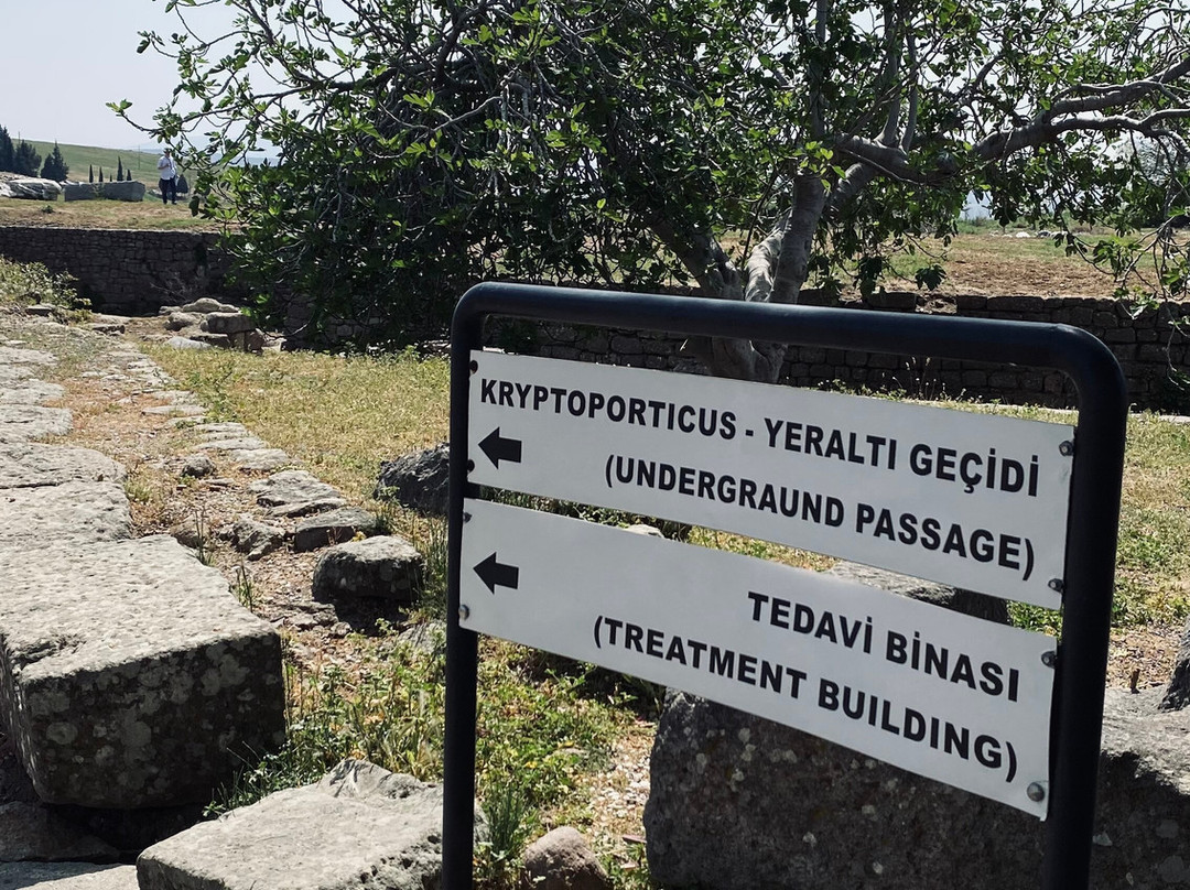 Pergamon Ancient City-贝尔加马必去景点