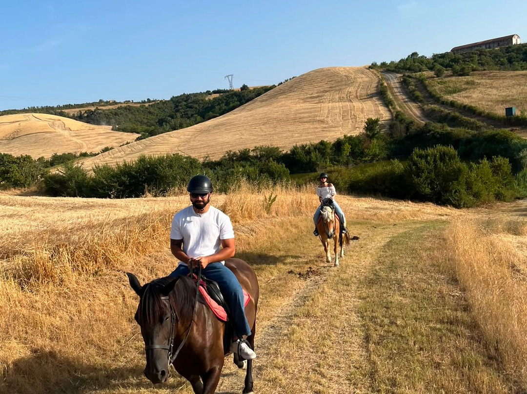 RidingTuscany-蒙塔约内必去景点