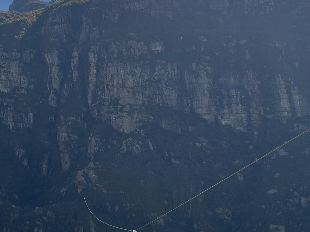 Cape Canopy Tour-Elgin必去景点