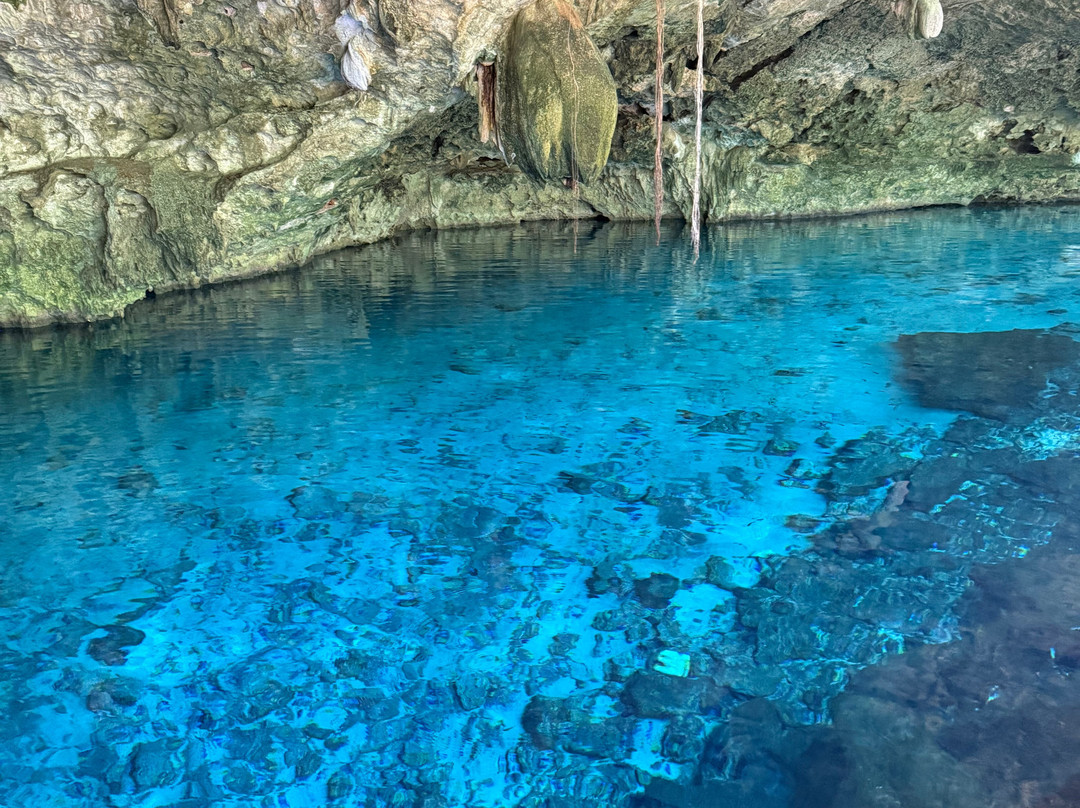 Cenotes Dos Ojos-图伦必去景点