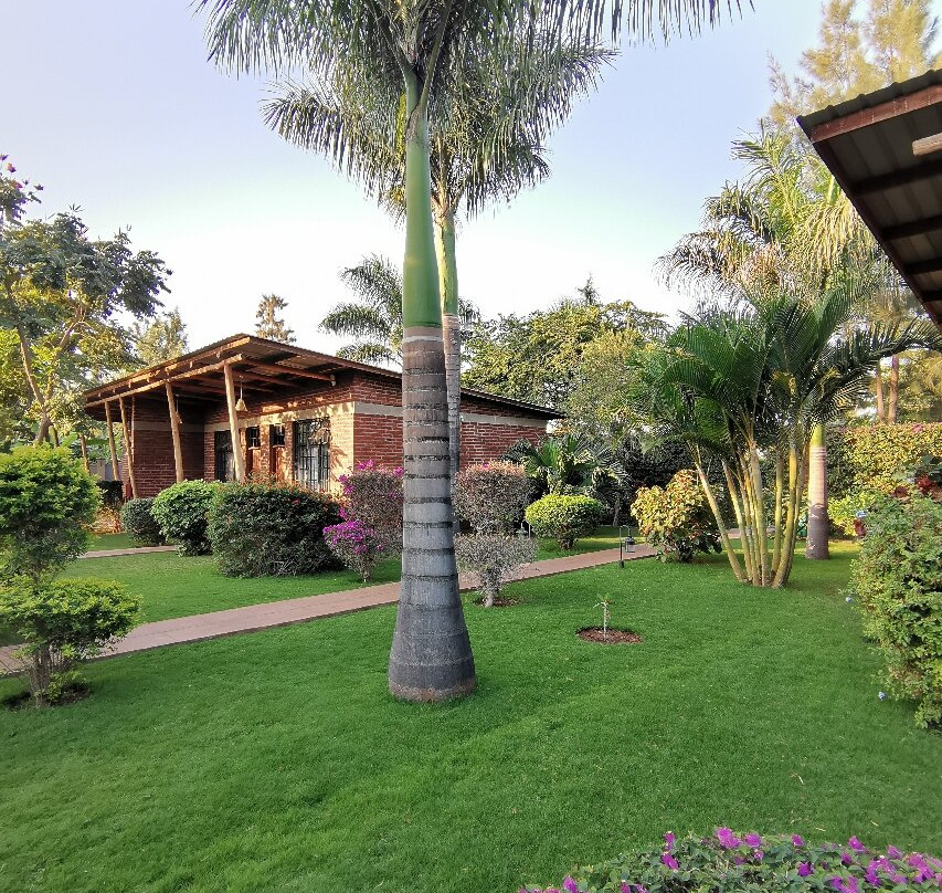 Motto Cottages