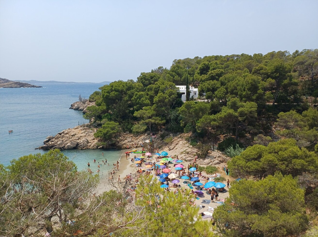 Playa Cala Salada-圣安东尼德波特曼尼必去景点