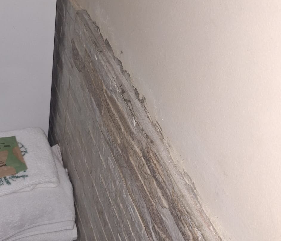 Petit Rivera Hotel主图