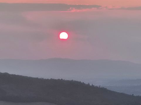 Luisenhöhe - Gesundheitsresort Schwarzwald-旅行者