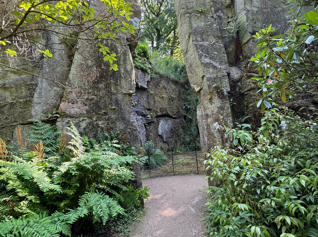 Belsay Hall Castle And Gardens-Belsay必去景点